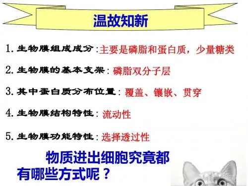 耿直-4.3物质跨膜运输的方式
