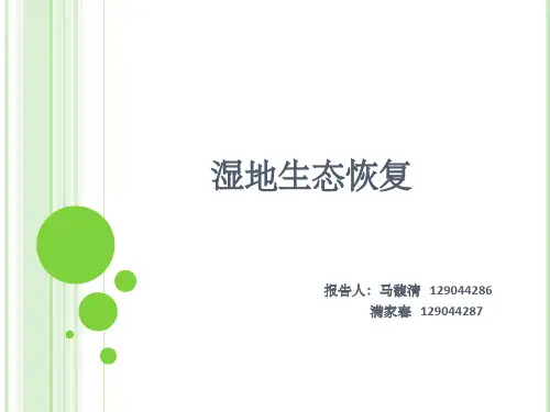 湿地生态恢复PPT课件