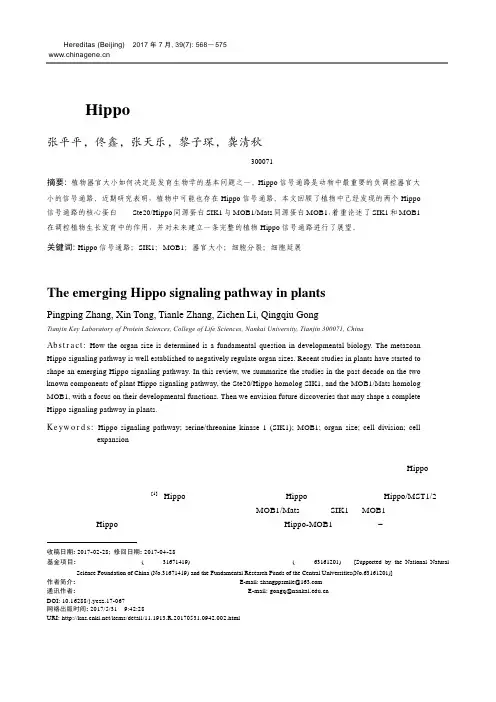 植物Hippo信号通路研究进展