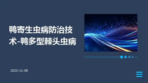 鸭寄生虫病防治技术鸭多型棘头虫病