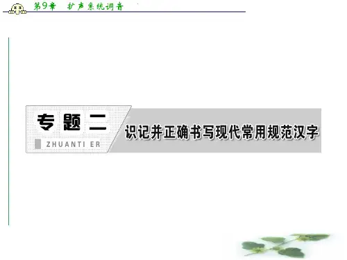 高三语文一轮专题复习课件：专题二 识记并正确书写现代常用规范汉字