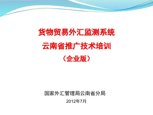 货物贸易外汇监测系统(企业版)--科技