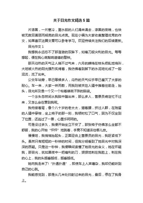 关于目光作文精选5篇