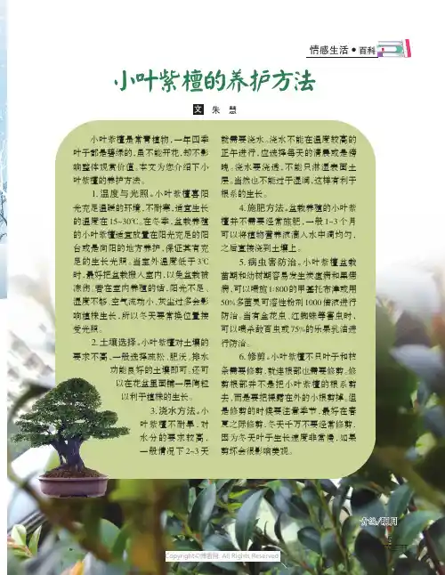 小叶紫檀的养护方法