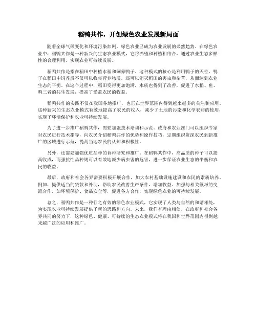 稻鸭共作,开创绿色农业发展新局面
