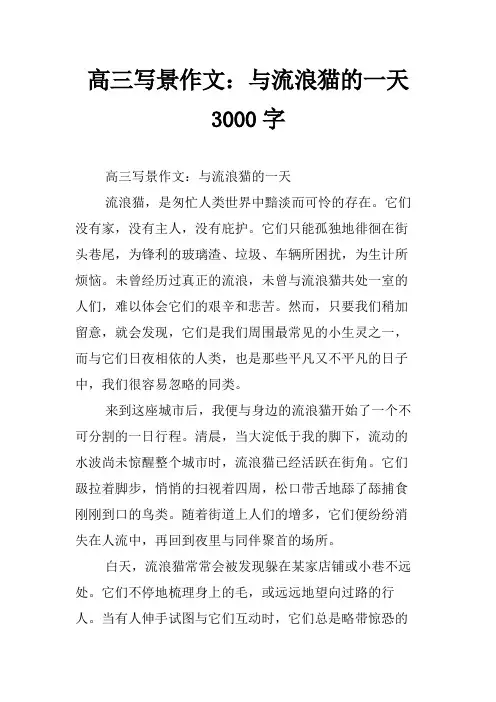 高三写景作文：与流浪猫的一天3000字