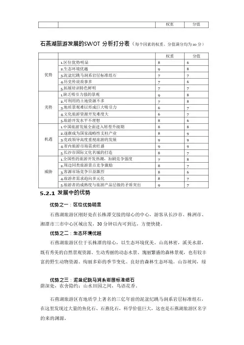 SWOT清单及打分表