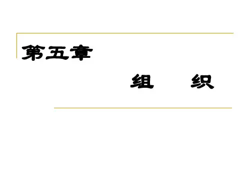 管理学概论 第五章 组织