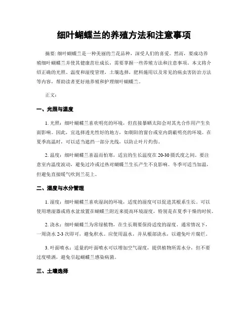 细叶蝴蝶兰的养殖方法和注意事项