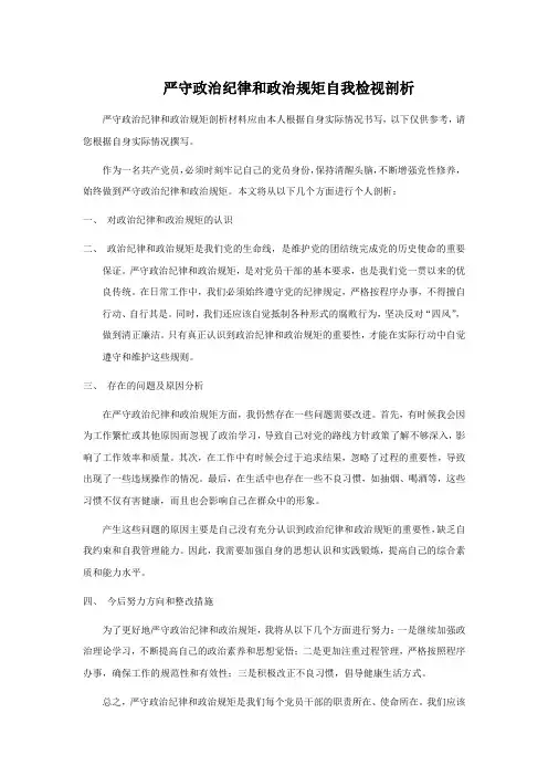 严守政治纪律和政治规矩自我检视剖析