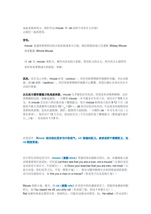 全面分析英语单词rat和mouse的区别