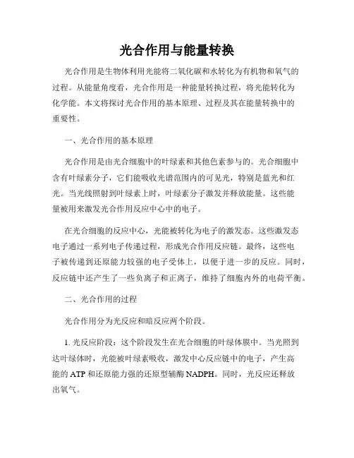 光合作用与能量转换