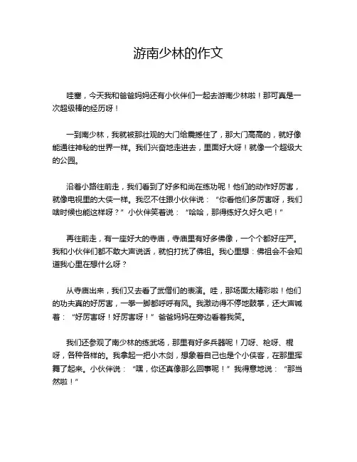 游南少林的作文