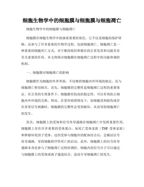 细胞生物学中的细胞膜与细胞膜与细胞凋亡