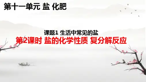 11.1生活中常见的盐(第2课时 盐的化学性质、复分解反应)课件-九年级化学人教版下册