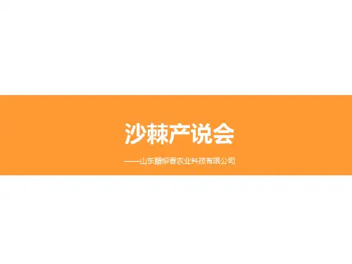 沙棘PPT