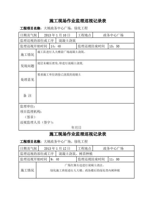 监理巡视记录表