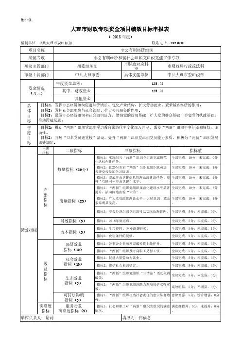 大理财政专项资金项目绩效目标申报表