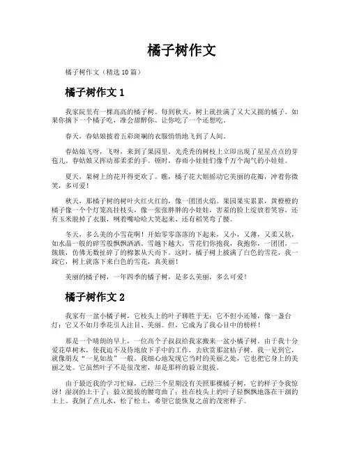 橘子树作文