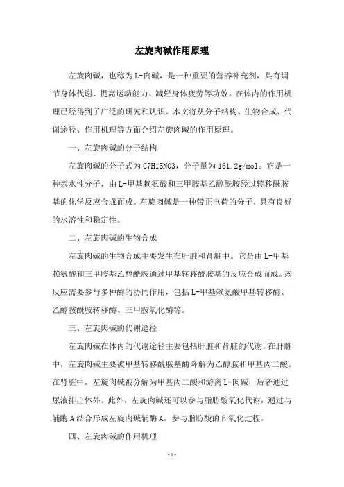 左旋肉碱作用原理