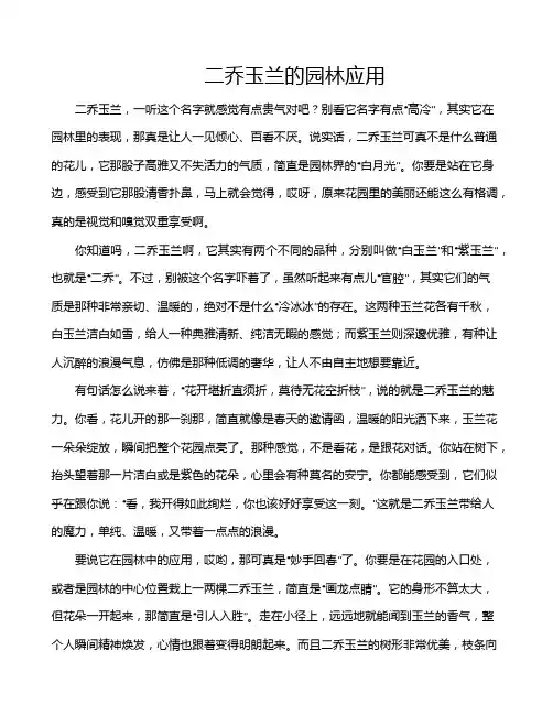 二乔玉兰的园林应用