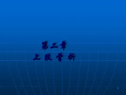 腕舟骨、掌骨、指骨骨折