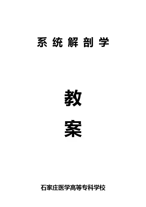 系统解剖学教案