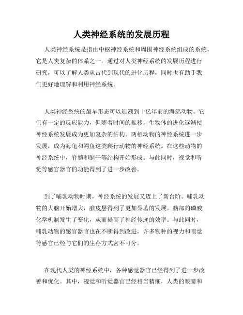 人类神经系统的发展历程