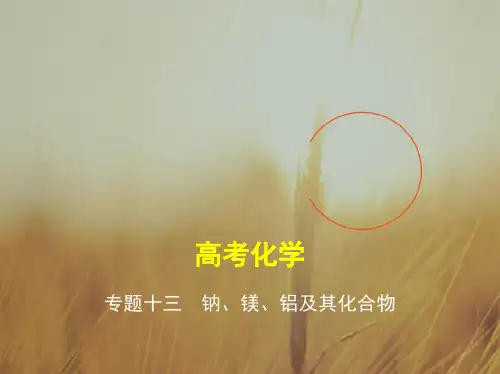 最新-五年高考三年模拟2021届高三化学新课标一轮复习课件：专题十三 钠、镁、铝及其化合物 精品