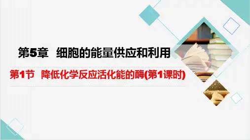 5.2细胞的能量“货币”ATP课件(共35页ppt) 人教版(2019)必修1