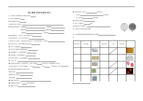 浙教版七年级上册第二章复习+练习含答案