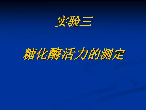 糖化酶活力测定(1)