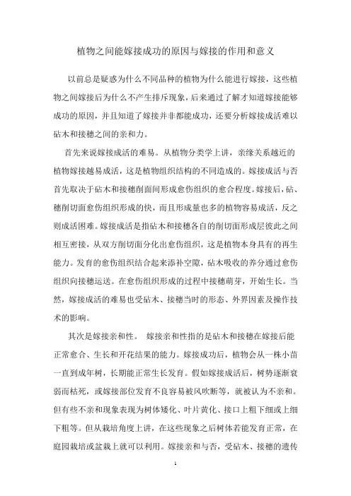 植物之间能嫁接成功的原因与嫁接的作用和意义