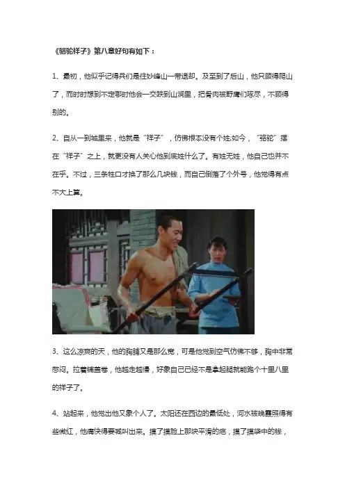 《骆驼祥子》第八章的名人名言