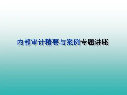 内部审计案例