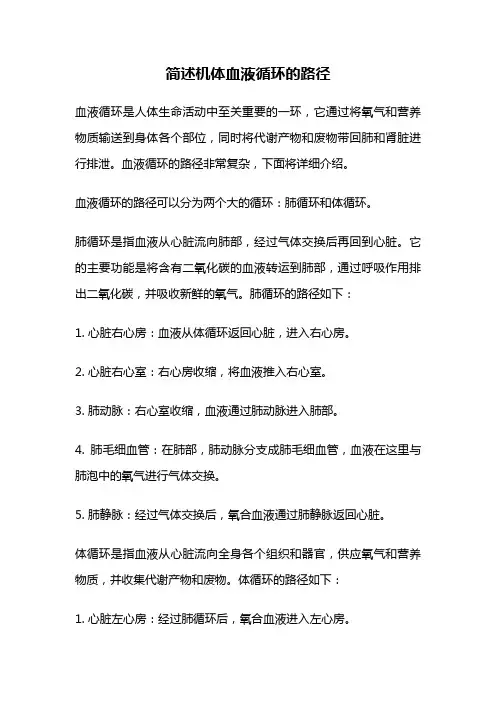 简述机体血液循环的路径