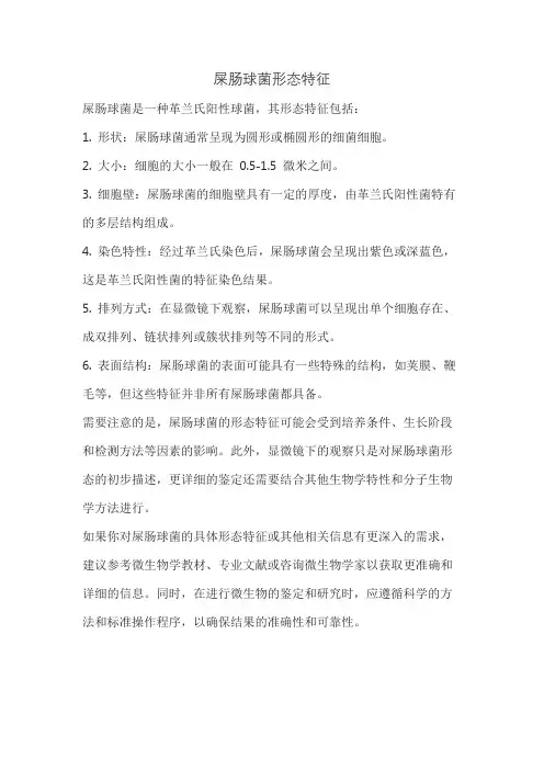 屎肠球菌形态特征
