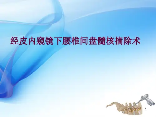 椎间孔镜手术技术幻灯片课件