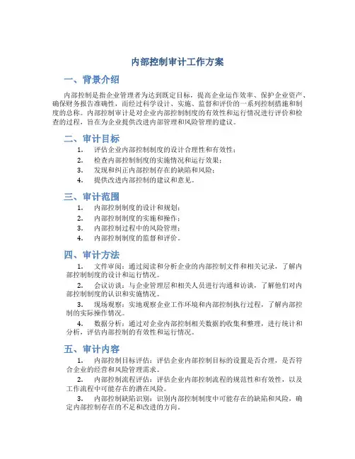内部控制审计工作方案