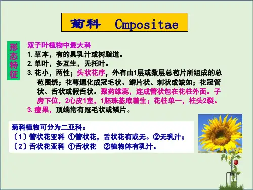 18--生药学-苍术白术解析