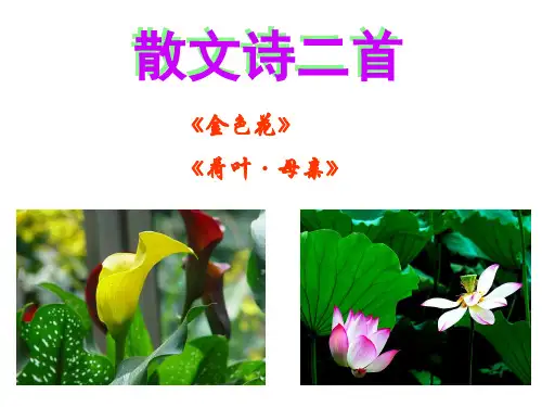 部编版语文七年级上册第7课《散文诗二首》课件