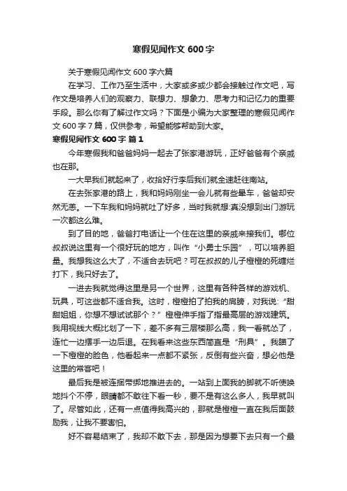 寒假见闻作文600字