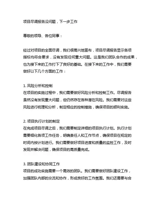 项目尽调报告没问题,下一步工作