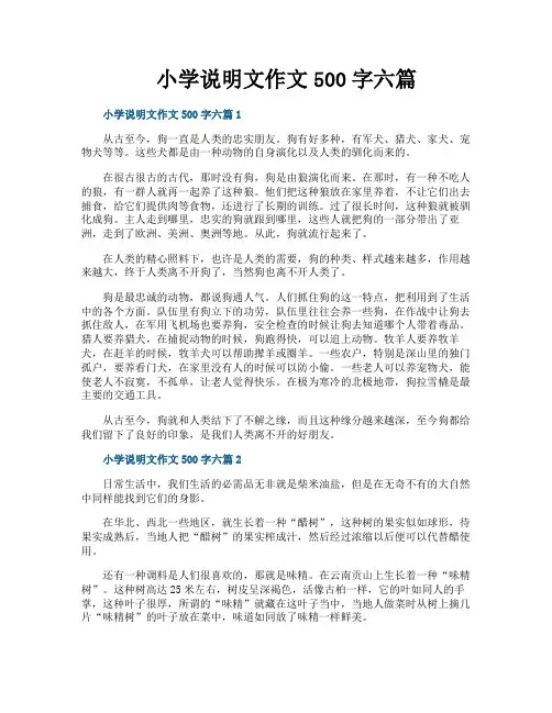 小学说明文作文500字六篇