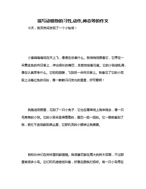 描写动植物的习性,动作,神态等的作文