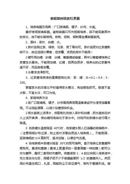 家庭如何培养红茶菌