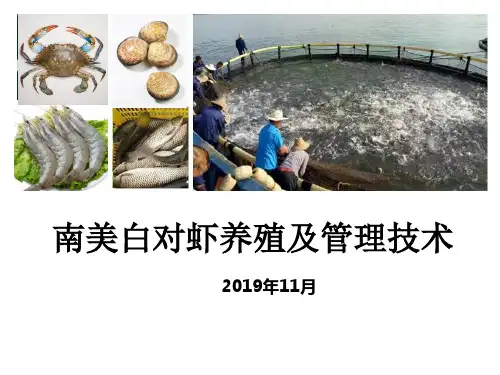 【精品课件】南美白对虾养殖及管理技术