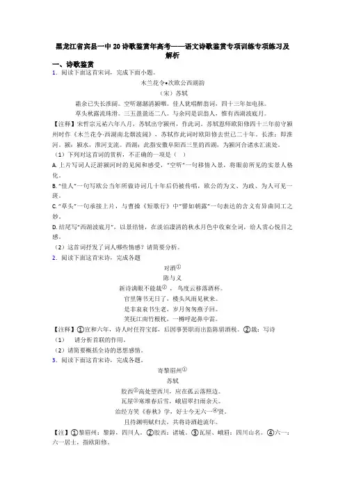 黑龙江省宾县一中20诗歌鉴赏年高考——语文诗歌鉴赏专项训练专项练习及解析