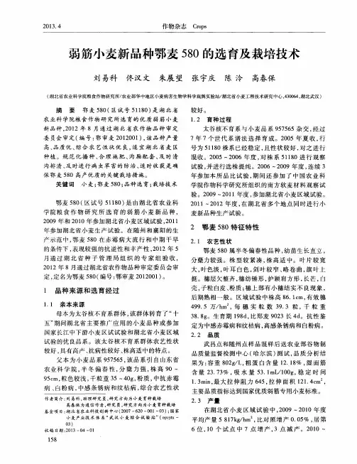 弱筋小麦新品种鄂麦580的选育及栽培技术