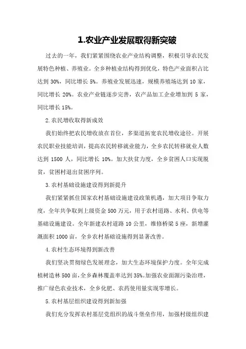 乡镇农办年度工作总结和工作计划